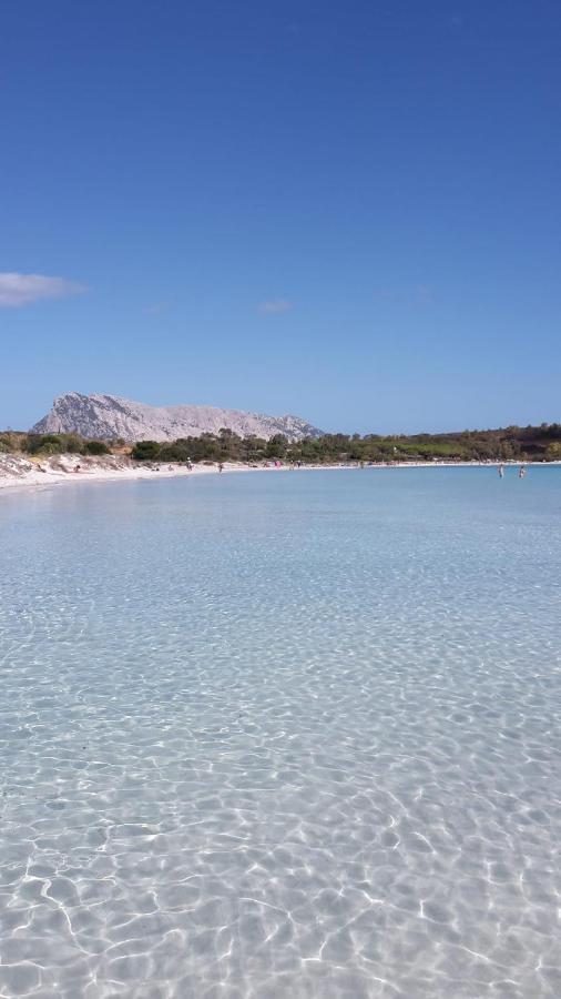 La Coccinella Olbia