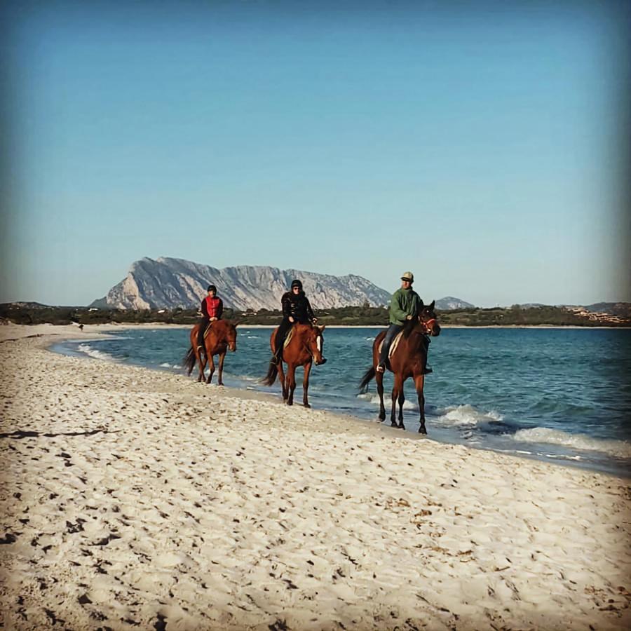 La Coccinella * Olbia