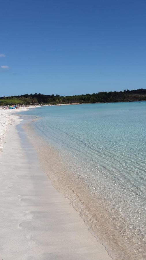 La Coccinella * Olbia