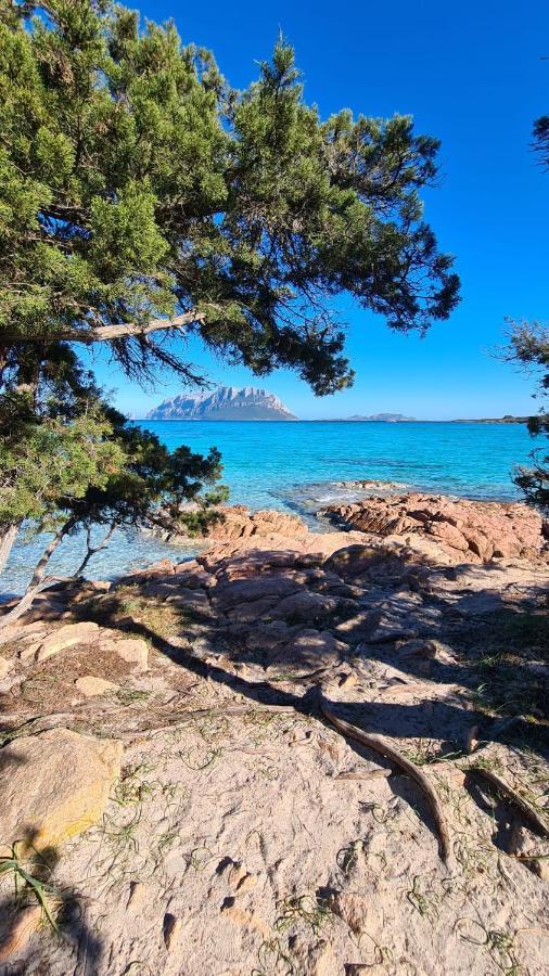La Coccinella * Olbia
