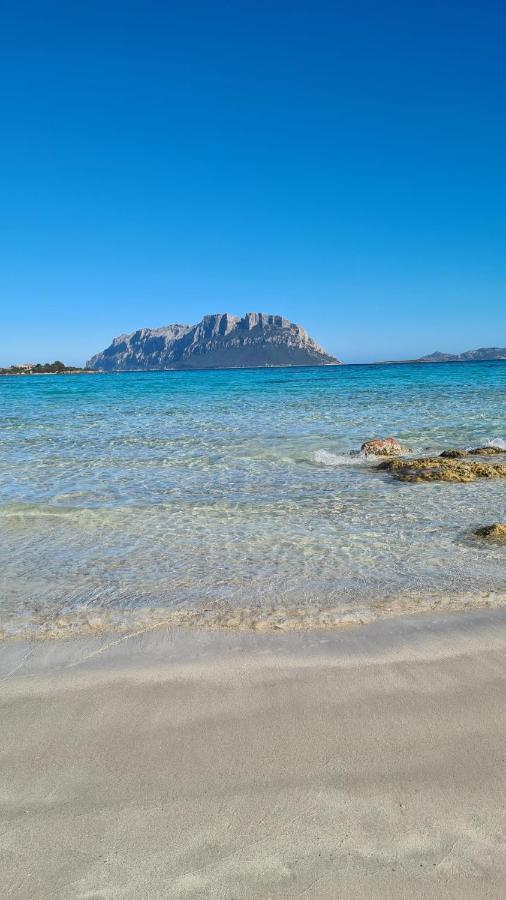 La Coccinella Olbia